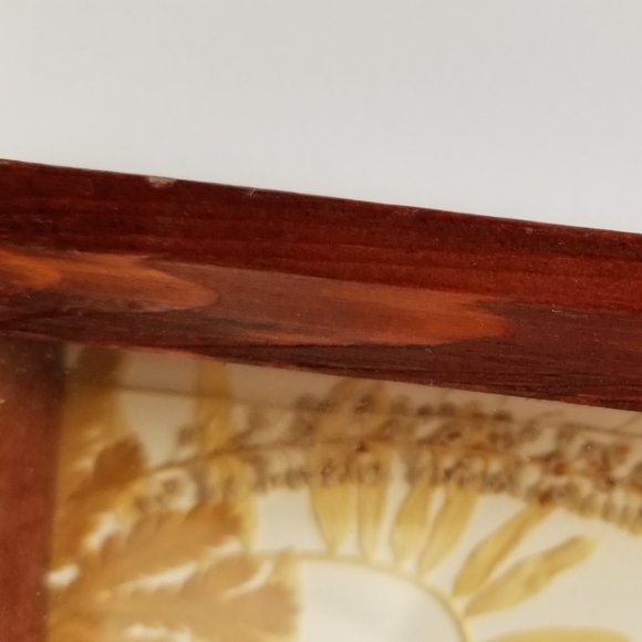 #B2 1 Rare Collectible Real Far East Russian Alpine Black Swallowtail Butterfly - Picture 10 of 13